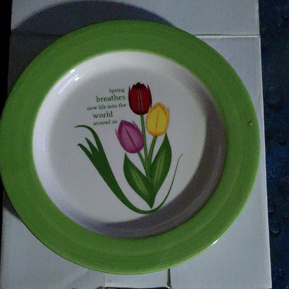 Inspirational Vibrant Tulip Plate Trinket Tray with Green Rim NWT